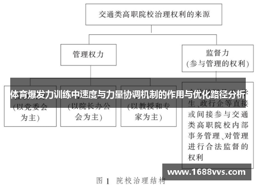 体育爆发力训练中速度与力量协调机制的作用与优化路径分析