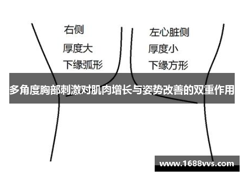 多角度胸部刺激对肌肉增长与姿势改善的双重作用