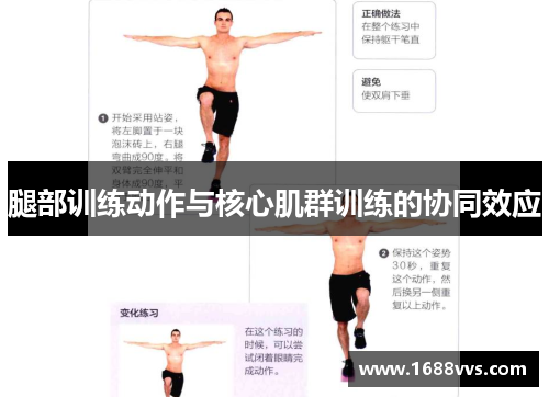 腿部训练动作与核心肌群训练的协同效应